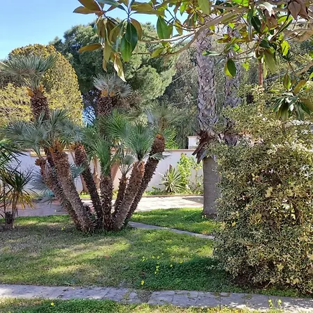 A Due Passi Dal Mare Marina18 Apartmán